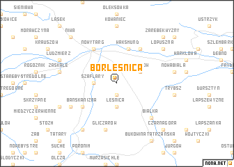 map of Bór Leśnica