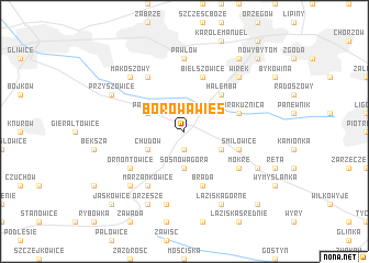 map of Borowa Wieś
