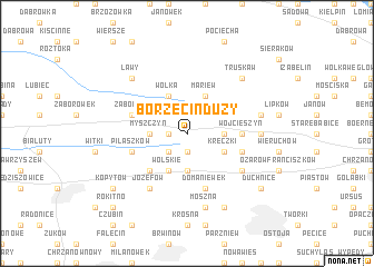 map of Borzęcin Duży