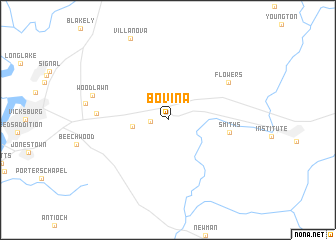 map of Bovina