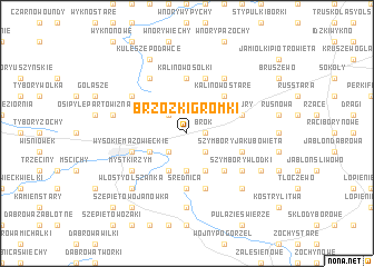 map of Brzózki Gromki