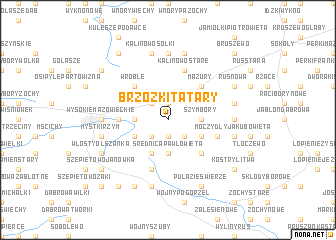 map of Brzózki Tatary