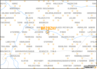 map of Brzózki