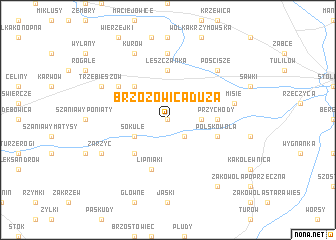 map of Brzozowica Duża