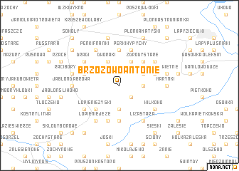 map of Brzozowo Antonie