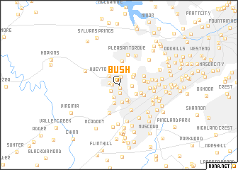 map of Bush