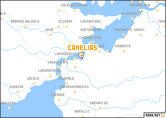 map of Camelias