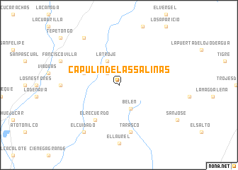 map of Capulín de las Salinas