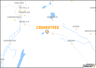 map of Cashew Tree