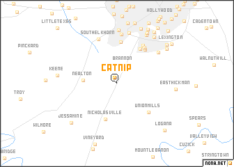 map of Catnip