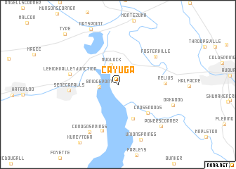 map of Cayuga