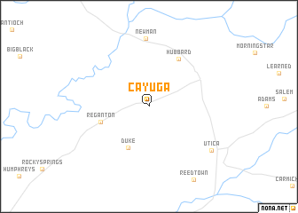 map of Cayuga