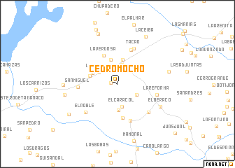 map of Cedro Mocho