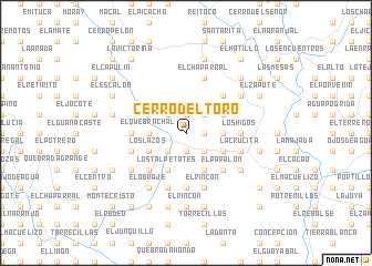 map of Cerro del Toro