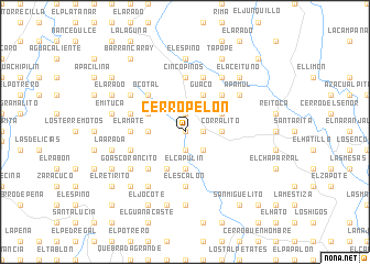 map of Cerro Pelón