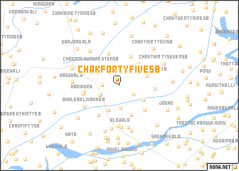 map of Chak Forty-five SB