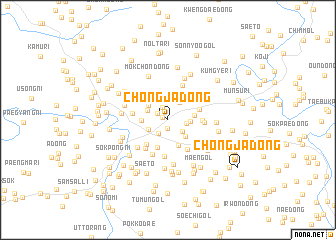 map of Chŏngja-dong