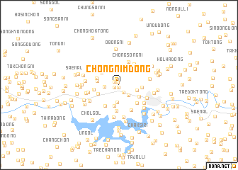 map of Chŏngnim-dong