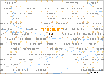 map of Ciborowice