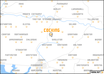 map of Cocking