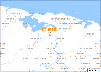 map of Cojetal