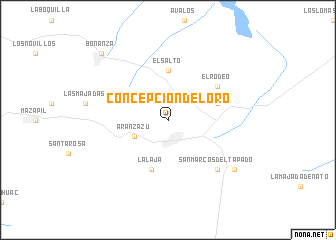 map of Concepción del Oro