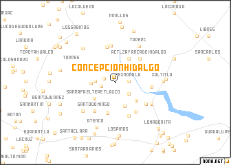 map of Concepción Hidalgo