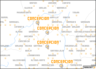 map of Concepción