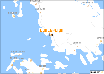 map of Concepcion