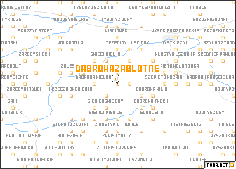 map of Dąbrowa Zabłotne