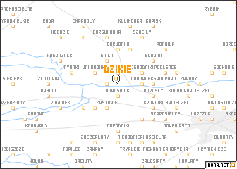 map of Dzikie