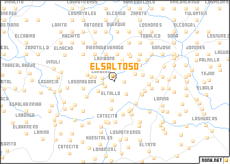 map of El Saltoso