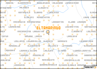 map of El Tamarindo