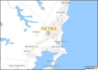 map of Figtree