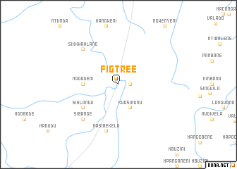 map of Figtree