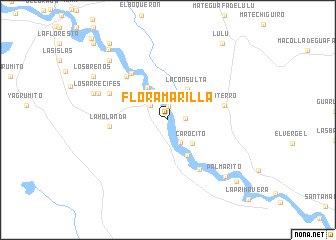 map of Flor Amarilla