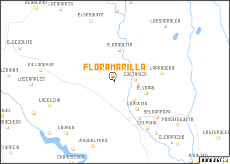 map of Flor Amarilla