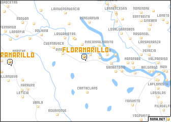 map of Flor Amarillo