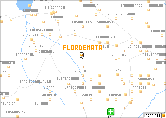 map of Flor de Mata