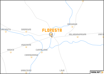 map of Floresta