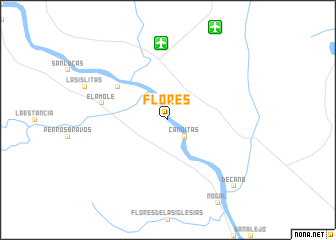 map of Flores