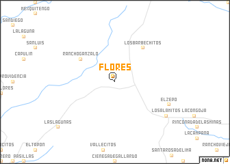 map of Flores