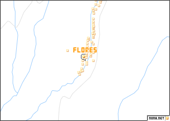 map of Flores