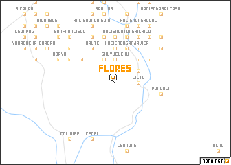map of Flores