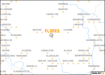 map of Flores