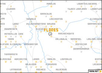 map of Flores