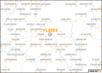 map of Flores