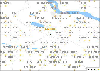 map of Gąbin