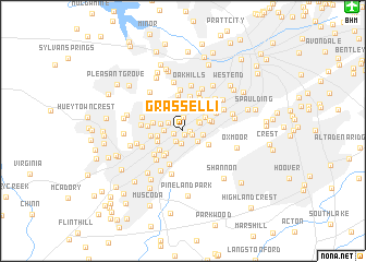 map of Grasselli