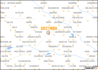 map of Grzybów